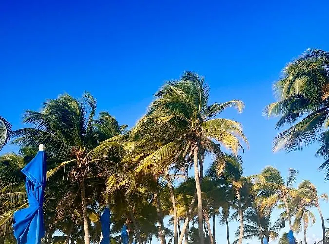 Elegant 1br Aldea Zama Tulum